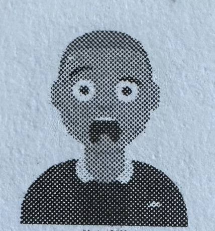 Die gesuchte Person, gedruckte Darstellung